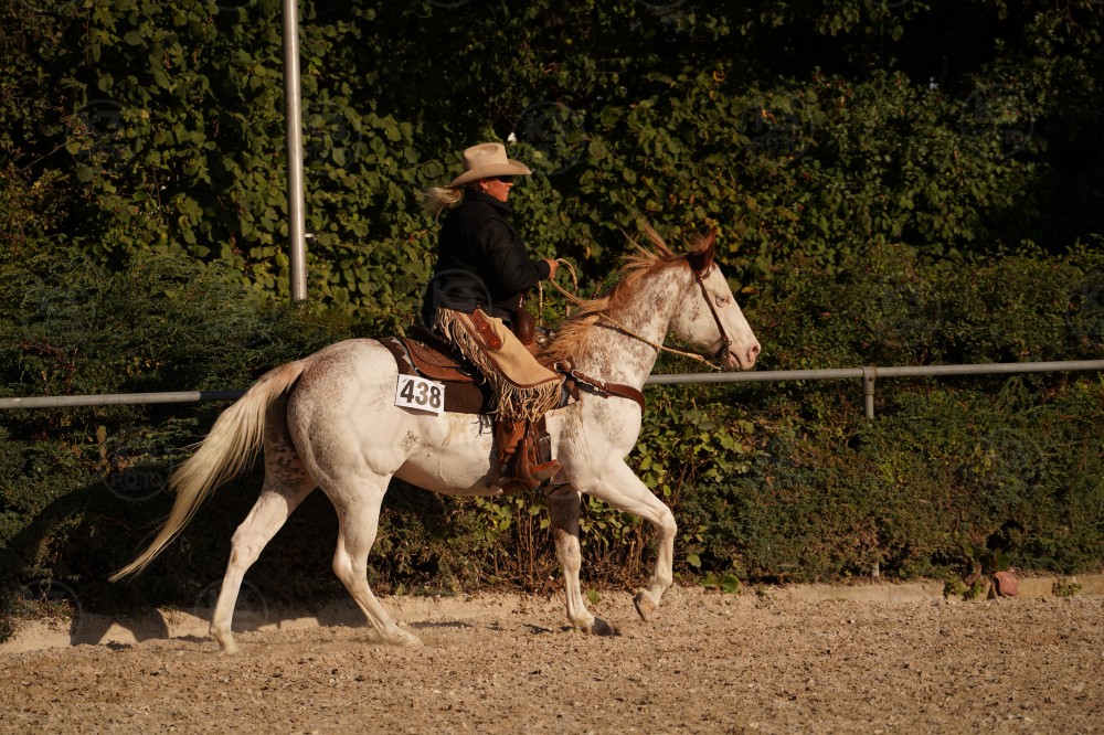 s_A_906750.JPG